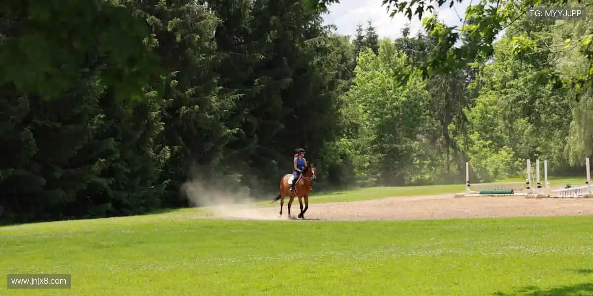 📱手机、平板、电脑无缝切换，精彩从不掉线！📡
